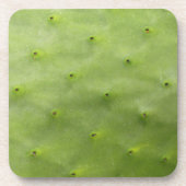 植物の熱帯緑のサボテンの写真 コースター (正面)