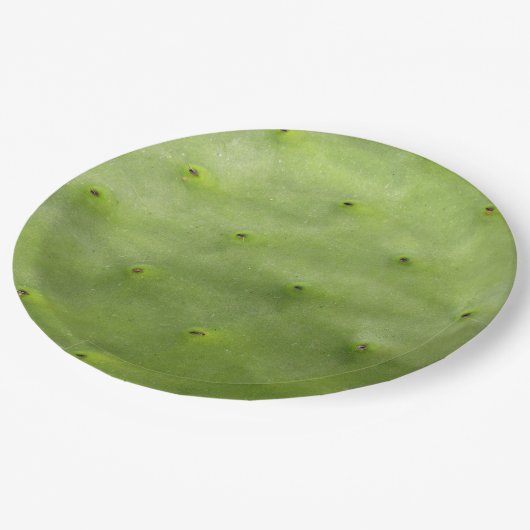 植物の熱帯緑のサボテンの写真 ペーパープレート (アングル)