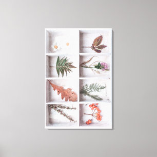 植物の白いシャドーボックス、花、葉、シダ キャンバスプリント