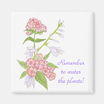 植物の磁石に水を忘れずに