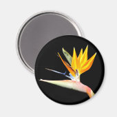 植物の磁石極楽鳥 マグネット (正面/裏面)