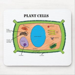 植物の細胞の図表 マウスパッド