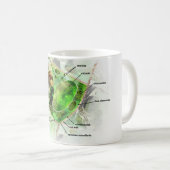 植物の細胞 コーヒーマグカップ (正面右)