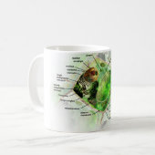 植物の細胞 コーヒーマグカップ (正面左)