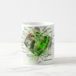 植物の細胞 コーヒーマグカップ