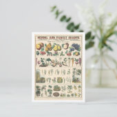 植物の経済的用途の教育図 ポストカード (スタンド正面)