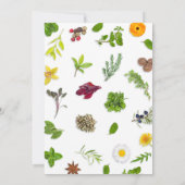 植物の結婚式招待状 招待状 (裏面)