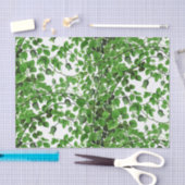 植物の緑のキヅタのつる植物 薄葉紙 (クラフト)