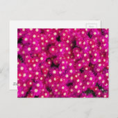 植物の花 ポストカード (正面/裏面)