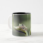 植物の茎、Bieiの北海道、日本のカエル ツートーンマグカップ (正面左)