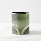 植物の茎、Bieiの北海道、日本のカエル ツートーンマグカップ (中央)