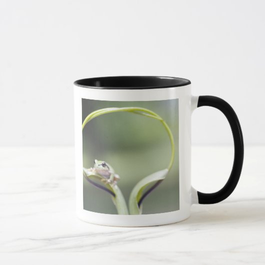 植物の茎、Bieiの北海道、日本のカエル マグカップ (右)