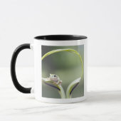 植物の茎、Bieiの北海道、日本のカエル マグカップ (左)