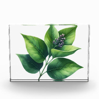 植物の葉と花 フォトブロック