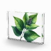 植物の葉と花 フォトブロック (右)