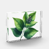 植物の葉と花 フォトブロック (左)