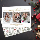 植物の葉3写真数々のクリスマス シーズンカード