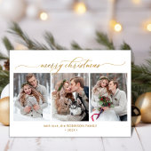 植物の葉3写真数々のクリスマス シーズンカード