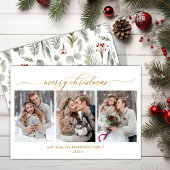 植物の葉3写真数々のクリスマス シーズンカード