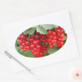 植物の赤いカラント。緑の葉 楕円形シール (封筒)