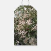 植物の野の花ギフトタグ ギフトタグ (裏面)