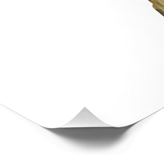 植物の野生の花のアートプリント、ミニマルな自然 ポスター (コーナー)