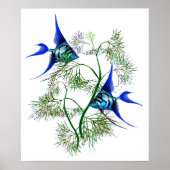 植物の青いアンジェフィッシュ ポスター (正面)