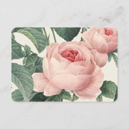 植物の魅力|の調節のエンクロージャカード エンクロージャーカード (裏面)