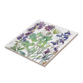 植物の鳩の野生の花によってはタイルが開花します タイル (側面)