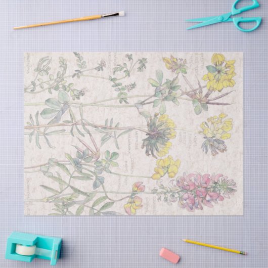 植物のBirdsfootの野生の花の花のティッシュペーパー 薄葉紙 (クラフト)