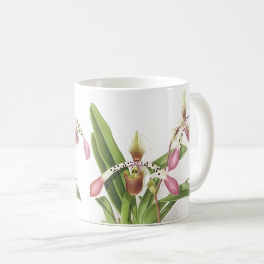 植物のLadysのスリッパ蘭によっては花柄が開花します コーヒーマグカップ (正面右)