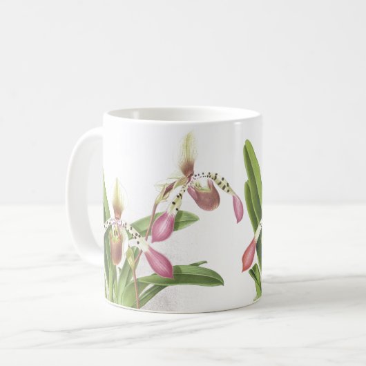 植物のLadysのスリッパ蘭によっては花柄が開花します コーヒーマグカップ (正面左)