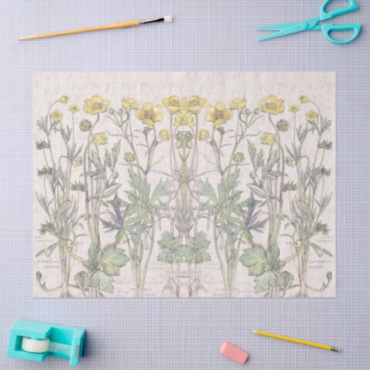 植物のRanunculusによっては花のティッシュペーパーが開花します 薄葉紙 (クラフト)