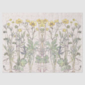 植物のRanunculusによっては花のティッシュペーパーが開花します 薄葉紙 (正面)