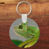 植物はがきの間のベール入りカメレオンのクローズアップ キーホルダー (正面)
