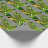 植物はがきの間のベール入りカメレオンのクローズアップ ラッピングペーパー (角)