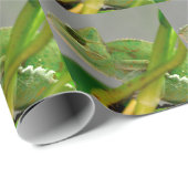 植物はがきの間のベール入りカメレオンのクローズアップ ラッピングペーパー (ロールコーナー)