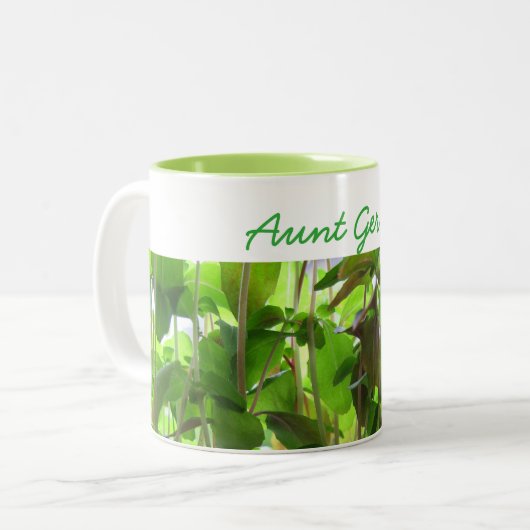 植物は名前の成長する種を保ちます ツートーンマグカップ (正面左)