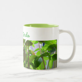 植物は名前の成長する種を保ちます ツートーンマグカップ