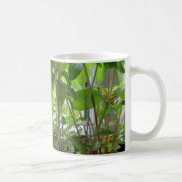 植物は成長する種を保ちます コーヒーマグカップ