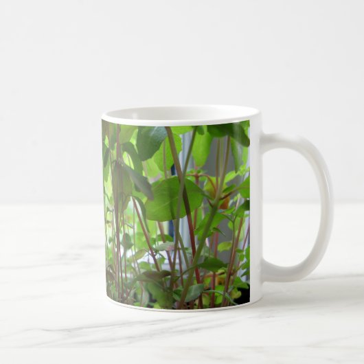 植物は成長する種を保ちます コーヒーマグカップ (右)