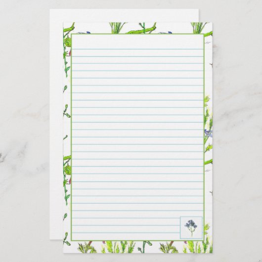 植物イラストレーション水彩野菜が並ぶ 便箋 (正面/裏面)