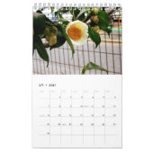 植物カレンダー2017 カレンダー (2月 2027)