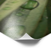 植物クローズアップ フォトプリント            (角)