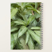 植物スパイラルスケッチブック ノートブック (裏面)