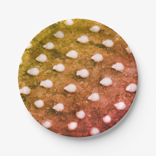 植物テクスチャフォト紙プレート ペーパープレート (正面)