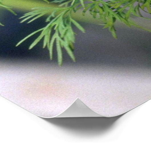 植物ディル ポスター (角)