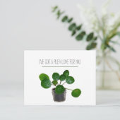 植物プンピレアはがきおもしろいバレンタイン シーズンポストカード (スタンド正面)