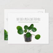 植物プンピレアはがきおもしろいバレンタイン シーズンポストカード (正面/裏面)