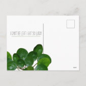 植物プンピレアはがきおもしろいバレンタイン シーズンポストカード (裏面)